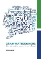 Grammatikkursus - bliv en endnu mere sikker staver af Bodil Aline