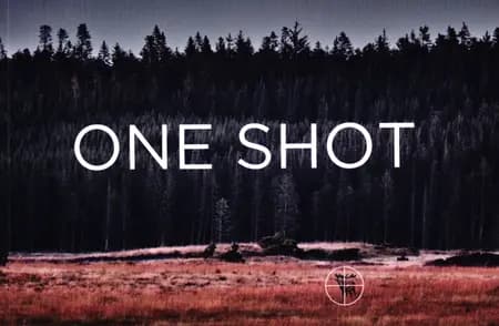 One Shot af Niels Busch