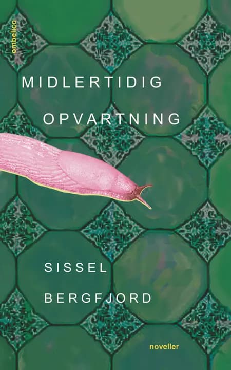Midlertidig opvartning af Sissel Bergfjord