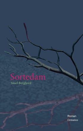 Sortedam af Sissel Bergfjord