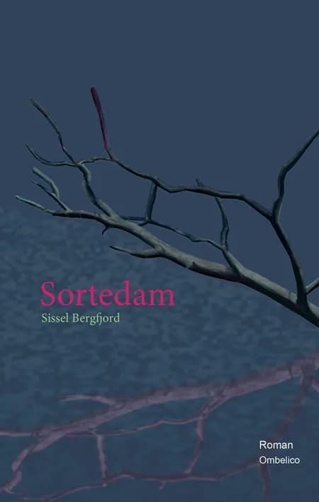 Sortedam af Sissel Bergfjord