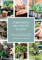 Forspiring fra frø til plante af Heidi Kirk Nissen