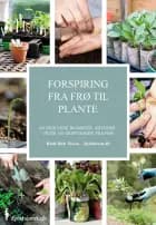 Forspiring fra frø til plante