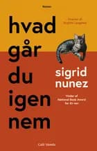 hvad går du igennem