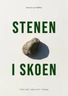 STENEN I SKOEN