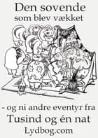Den Sovende som blev vækket - og ni andre eventyr fra Tusind og en Nat af Valdemar Thisted, Scheherazade Scheherazade og Johannes Østrup