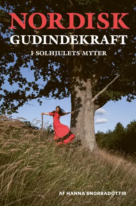 Nordisk gudindekraft i solhjulets myter af Hanna Snorradóttir