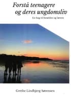 Forstå teenagere og deres ungdomsliv. af Grethe Lindbjerg Sørensen