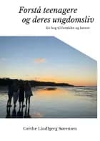 Forstå teenagere og deres ungdomsliv