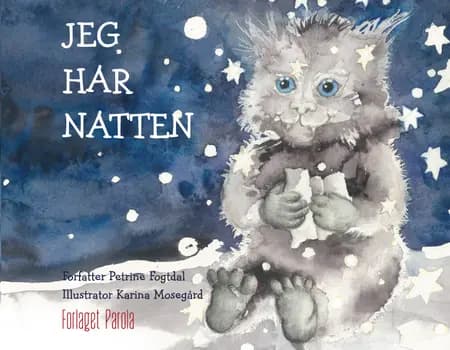 Jeg har natten af Petrine Fogtdal
