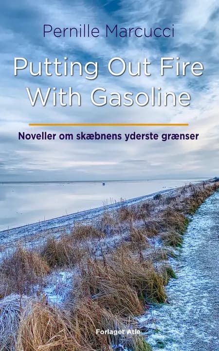Putting Out Fire With Gasoline af Pernille Marcucci