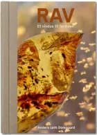 RAV - Et vindue til fortiden af Anders Leth Damgaard