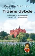 Tidens dybde. af Pernille Marcucci