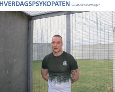 Hverdagspsykopaten af Storm Bonnichsen