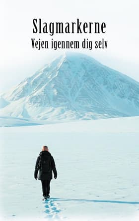 Slagmarkerne af Maximus F. Isla