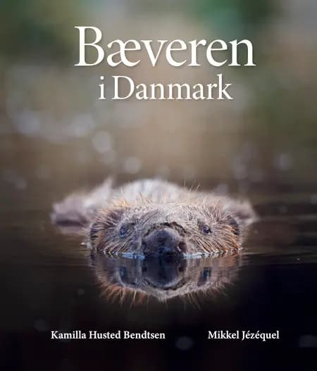 Bæveren i Danmark af Kamilla Husted Bendtsen