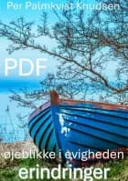 øjeblikke i evigheden  PDF af Per Palmkvist Knudsen
