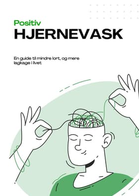 Positiv Hjernevask af Knud Magnussen