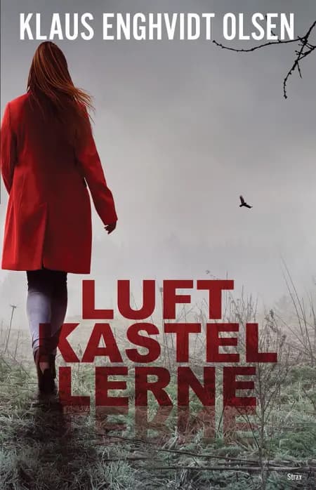 Luftkastellerne af Klaus Enghvidt Olsen