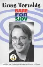 Bare for sjov