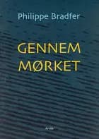 Gennem mørket