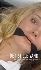 Det stille vand