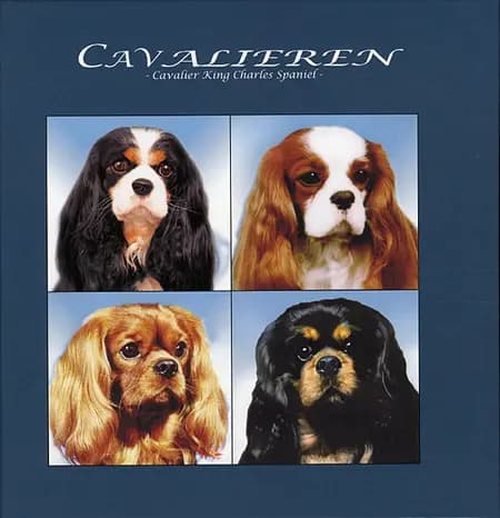 Cavalieren af Erik Fritzbøger