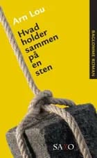 Hvad holder sammen på en sten af Arn Lou