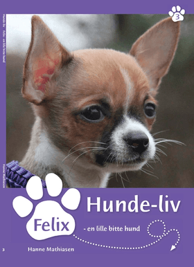 Felix, en lille bitte hund af Hanne Mathiasen
