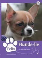 Felix, en lille bitte hund