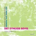 Det synlige bevis