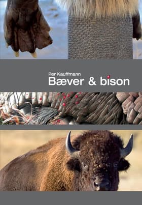 Bæver & bison af Per Kauffmann