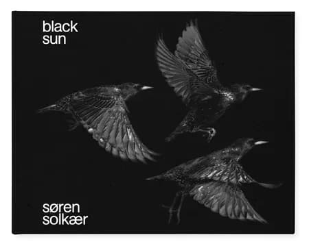 BLACK SUN af Ib Michael