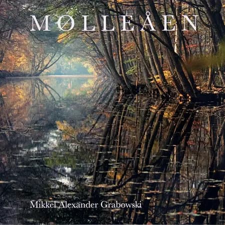 Mølleåen af Mikkel Alexander Grabowski