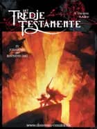 Det tredje testamente. Johannes eller ravnens dag