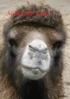 Ali Baba får besøg af Flemming Rasmussen