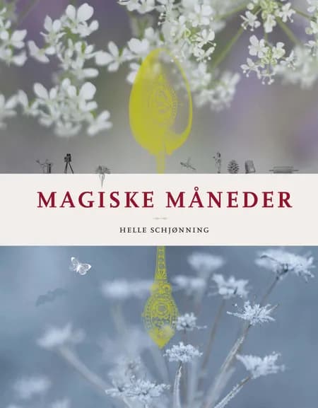 Magiske måneder af Helle Schjønning