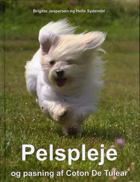 Pelspleje og pasning af Coton De Tulear af Helle Sydendal