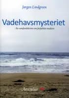 Vadehavsmysteriet