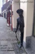 En dag i juni af Steen Klitgård Povlsen