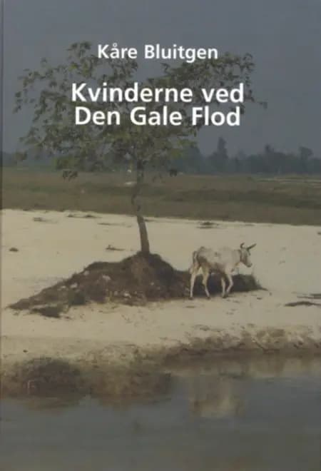 Kvinderne ved den gale flod af Kåre Bluitgen