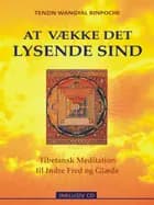 At vække det lysende sind af Tenzin Wangyal Rinpoche