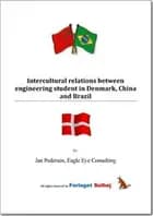 Intercultural relations between engineering student in Denmark, China and Brazil