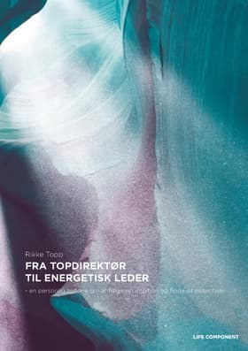 Fra topdirektør til energetisk leder af Helena Kalsmose