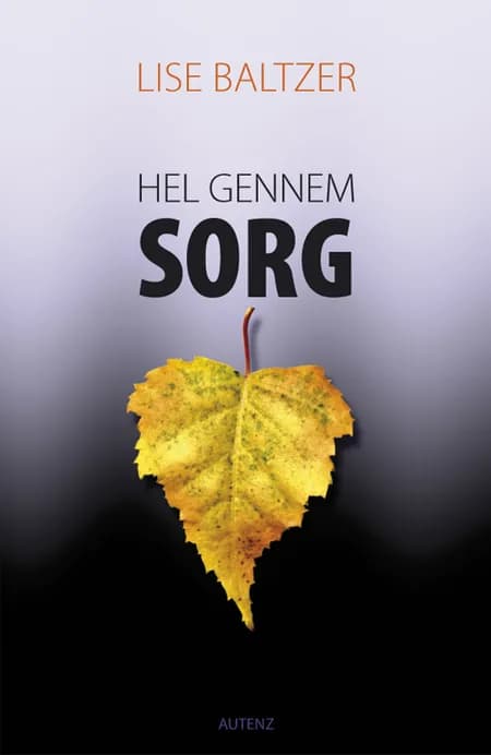 Hel gennem sorg af Lise Baltzer