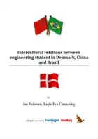 Intercultural relations between engineering students in Denmark, China and Brazil