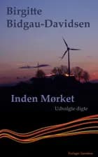 Inden mørket