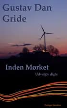 Inden mørket