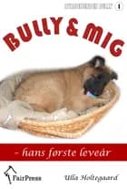 Bully & mig