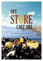 Det store i det små af Thomas Kristensen